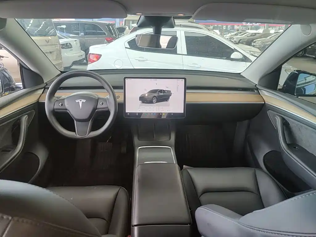 Tesla Model Y — миниатюра 10