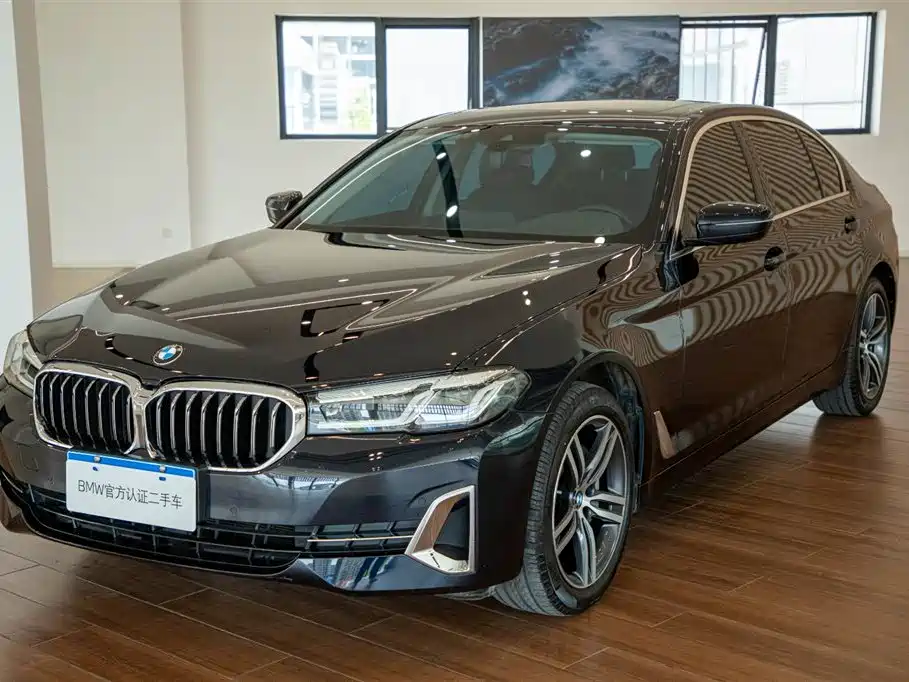 BMW 5 Series — миниатюра 2