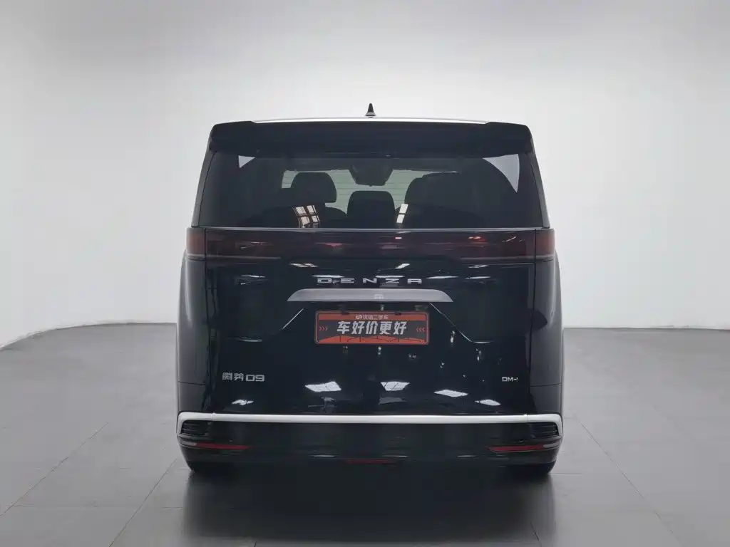 Denza Denza D9 — миниатюра 4