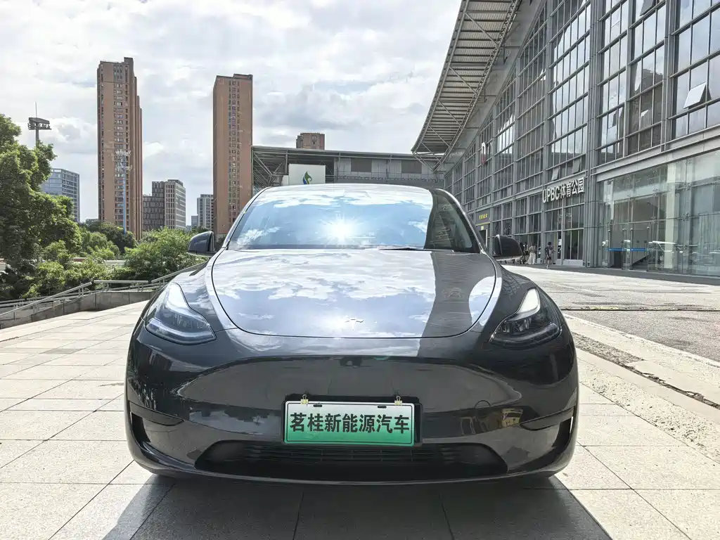 Tesla Model Y — миниатюра 2