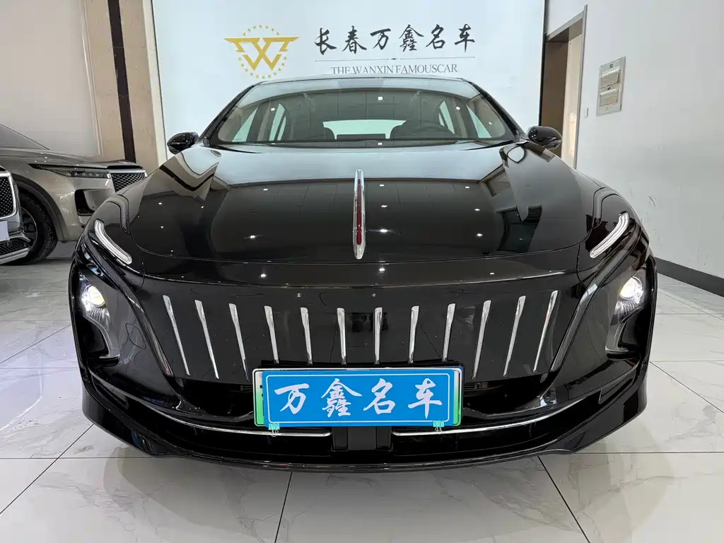 Hongqi HONGQI E QM5