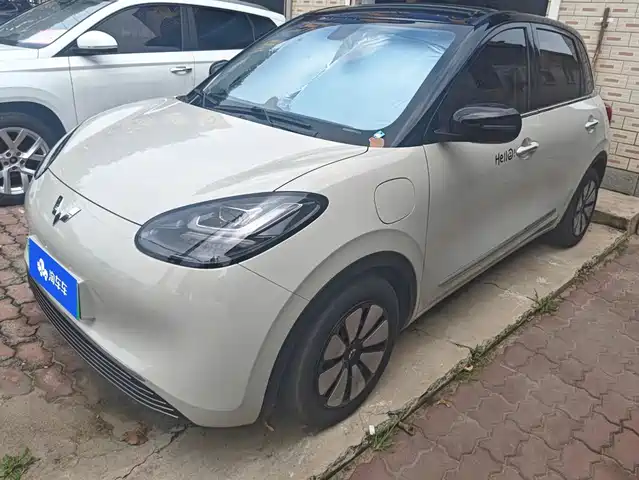 2024 Wuling Motors Binguo