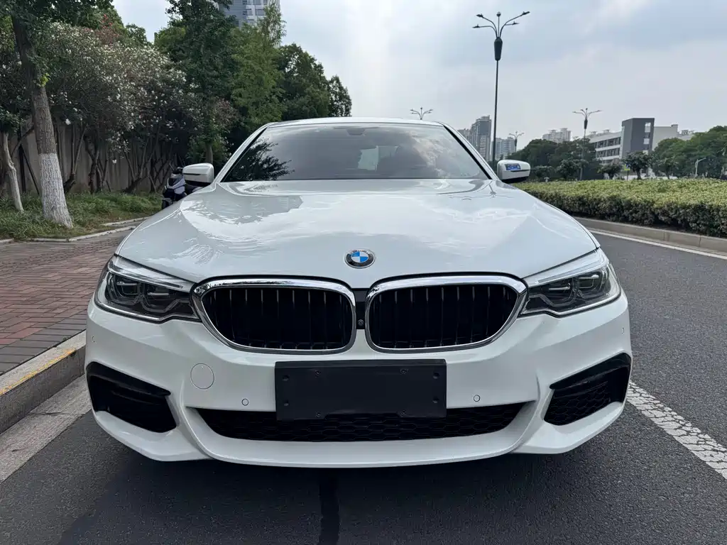 BMW 5 Series 5 2019 530Li Premium M Sport