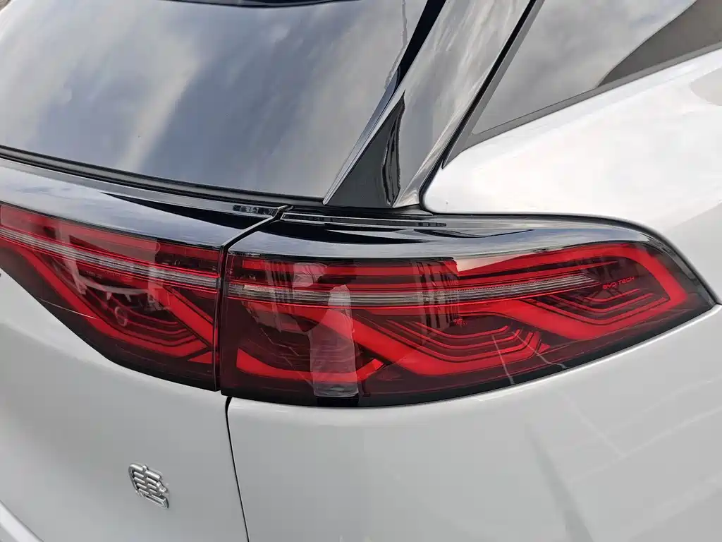 BYD Tang New Energy — миниатюра 20