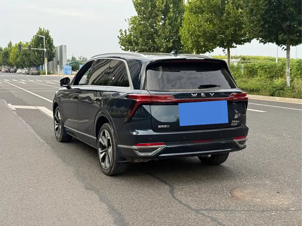 Wey Wey Lanshan — миниатюра 6