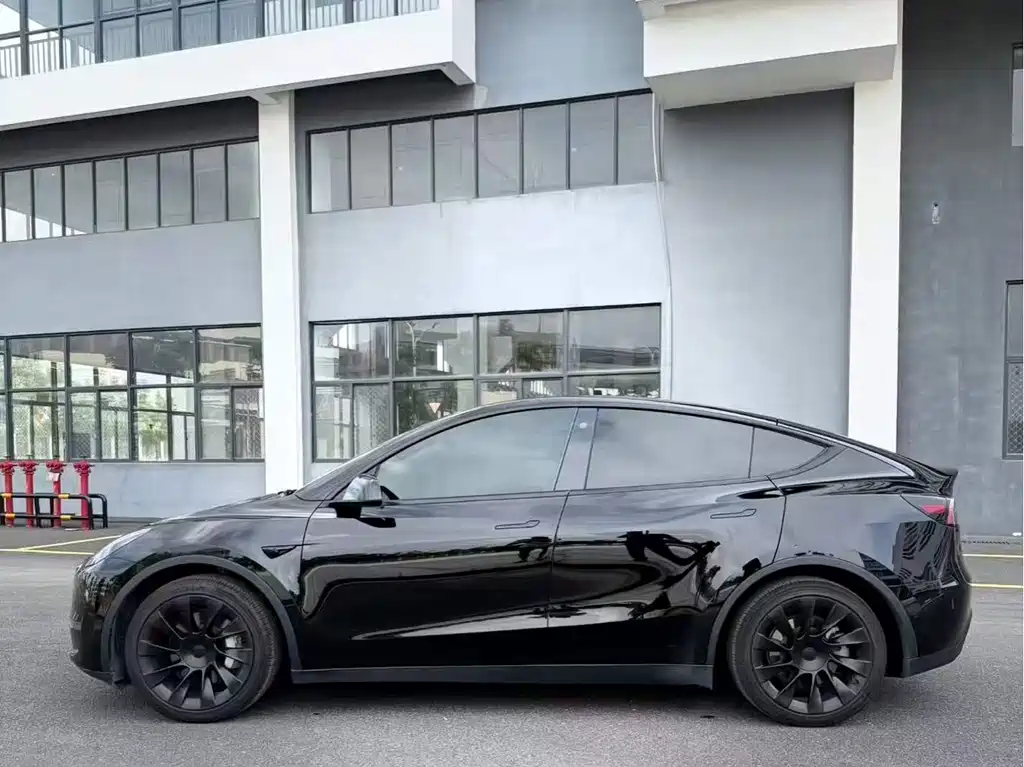 Tesla Model Y — миниатюра 4