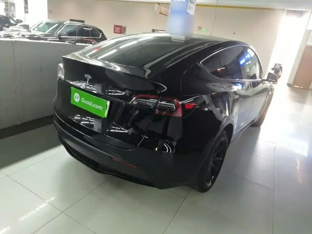 Tesla Model Y — миниатюра 7