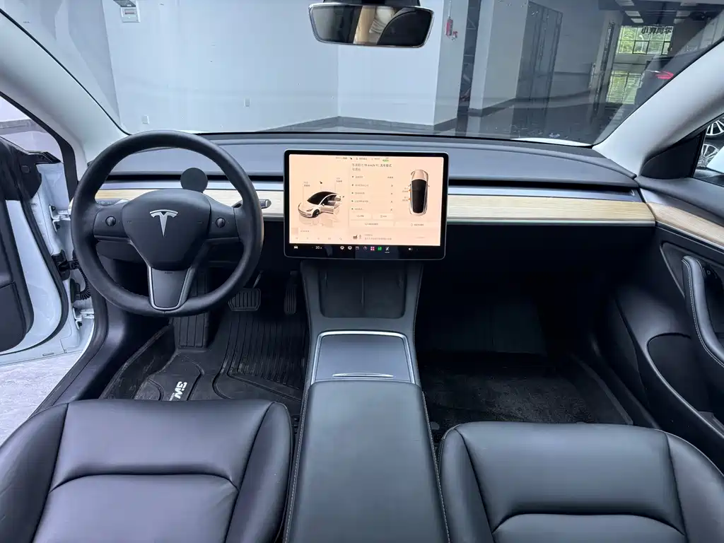Tesla Model 3 — миниатюра 6