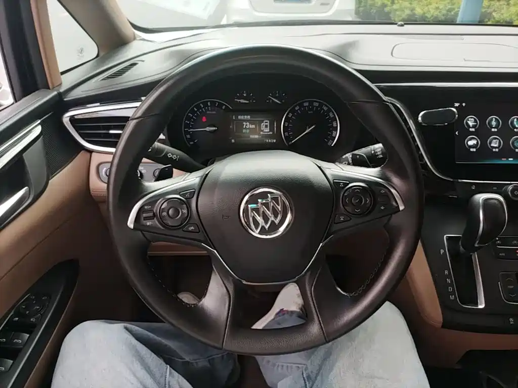 Buick GL8 — миниатюра 11