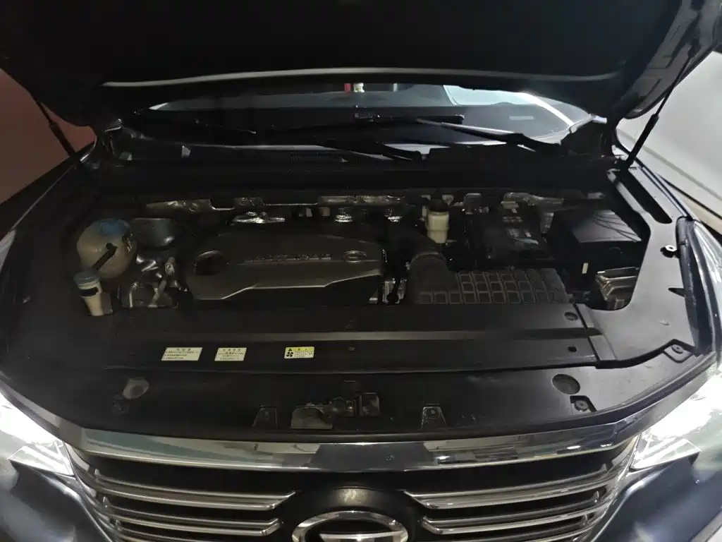 GAC Motor Trumpchi GS8 — миниатюра 11