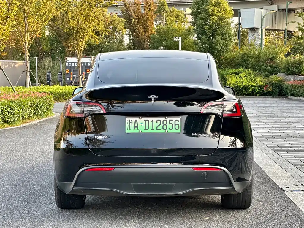 Tesla Model Y — миниатюра 5
