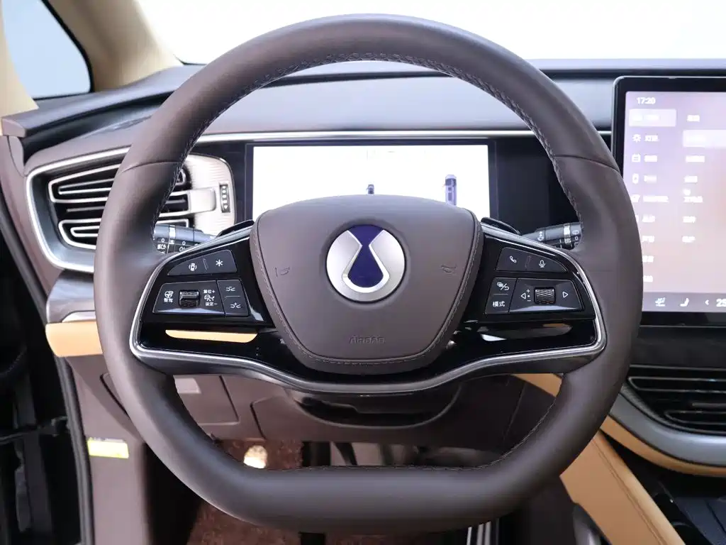 Denza Denza D9 — миниатюра 16