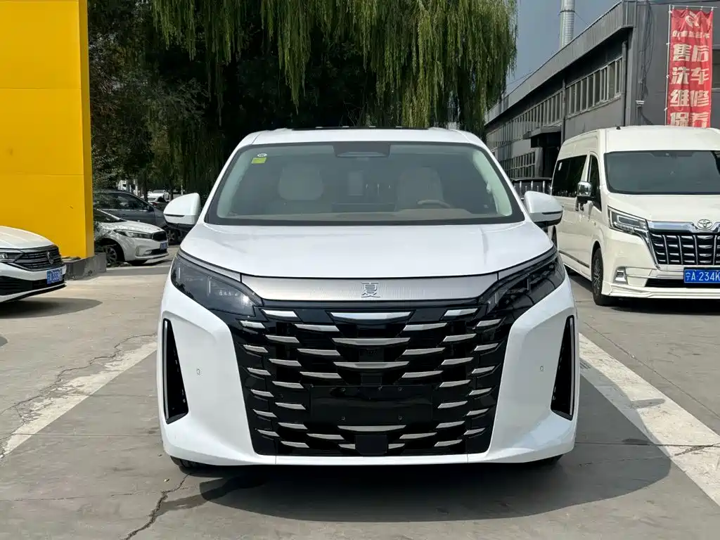 BYD Xia — миниатюра 2