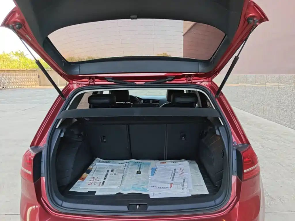 Volkswagen Golf — миниатюра 19