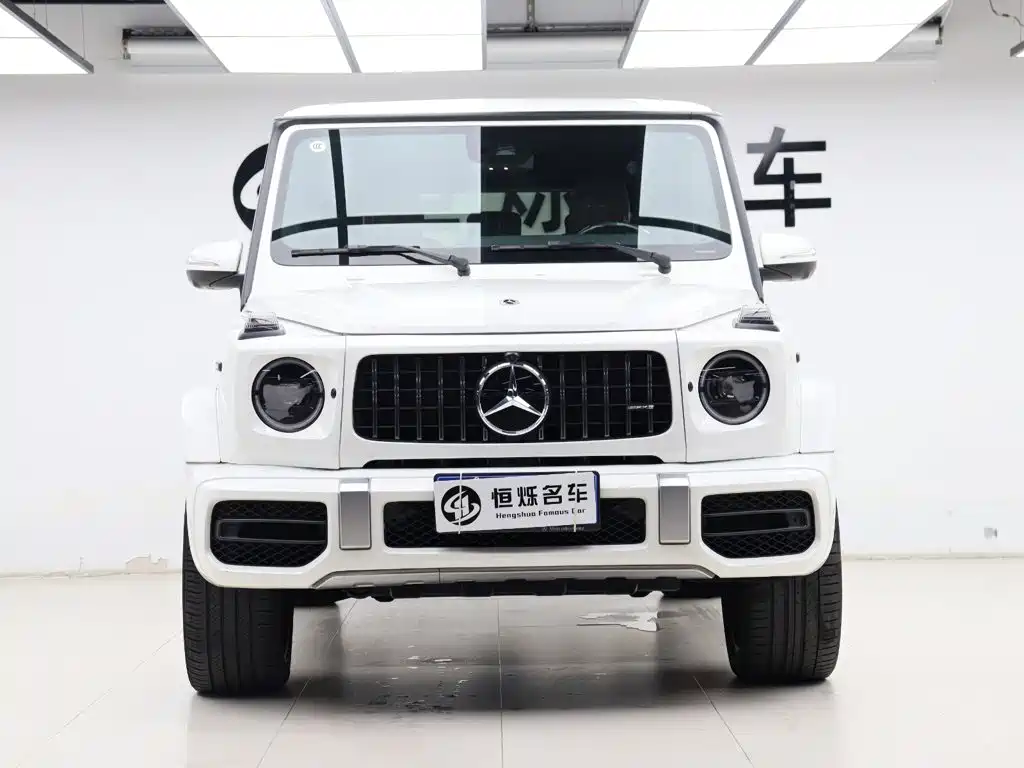 Mercedes-Benz G-Class — миниатюра 25