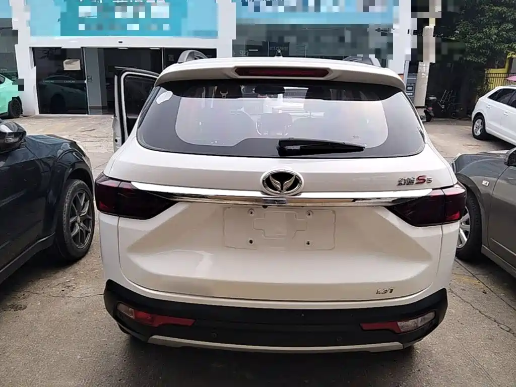 Huasu Huansu S5 — миниатюра 6