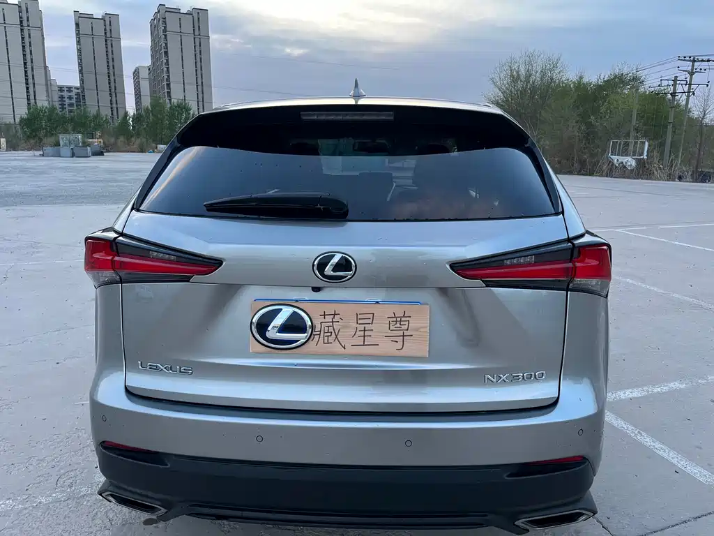 Lexus NX — миниатюра 8