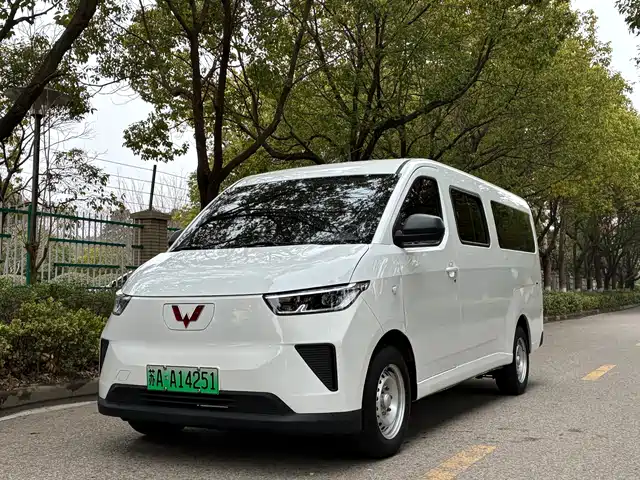 WULING WULING YANGGUANG 2024