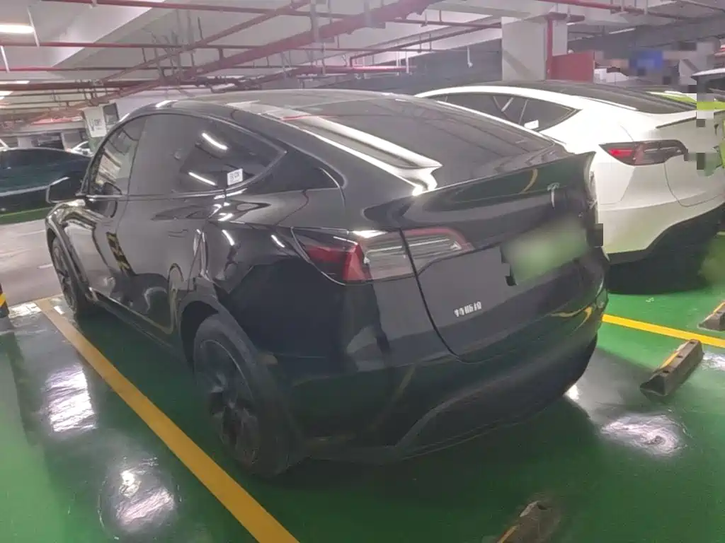 Tesla Model Y — миниатюра 5