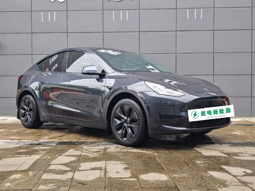 Tesla Model Y — миниатюра 3