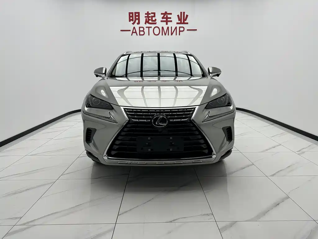 Lexus NX 2020 200 VI
