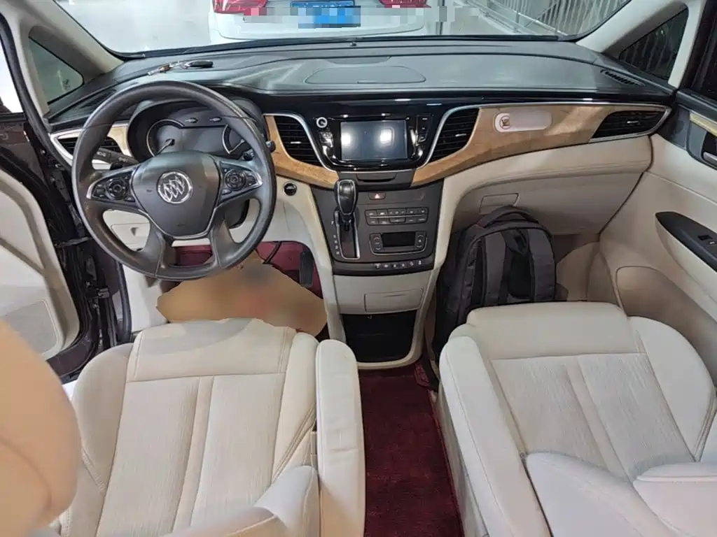 Buick GL8 — миниатюра 10