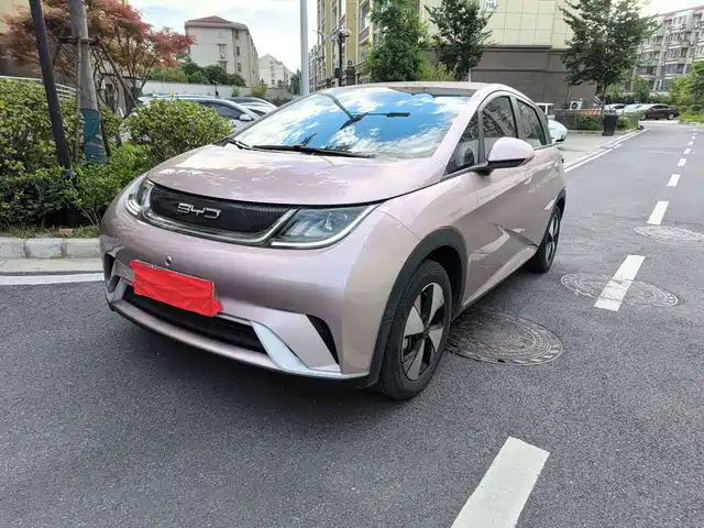 2023 BYD Dolphin