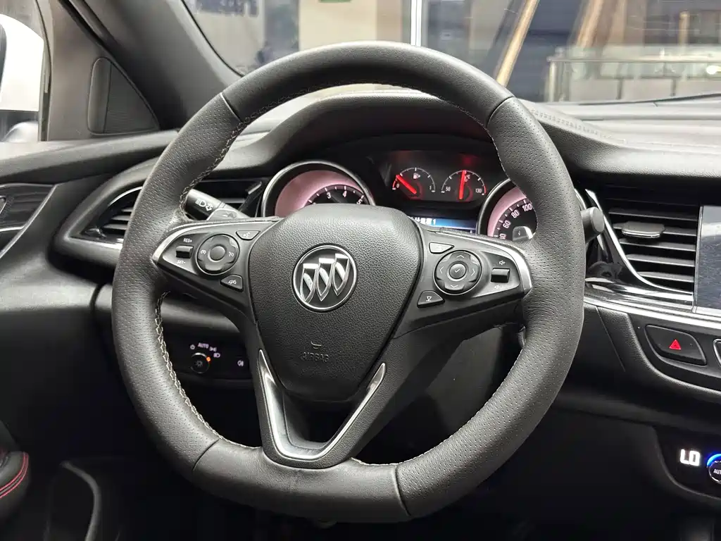 Buick Regal — миниатюра 13