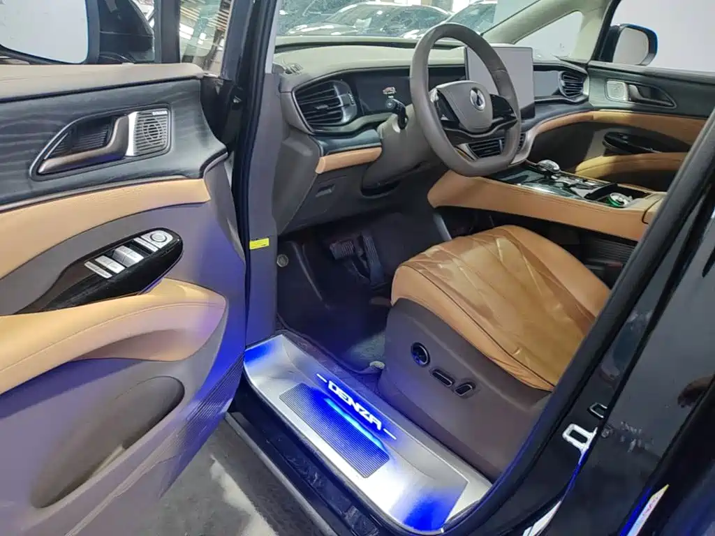 Denza Denza D9 — миниатюра 16