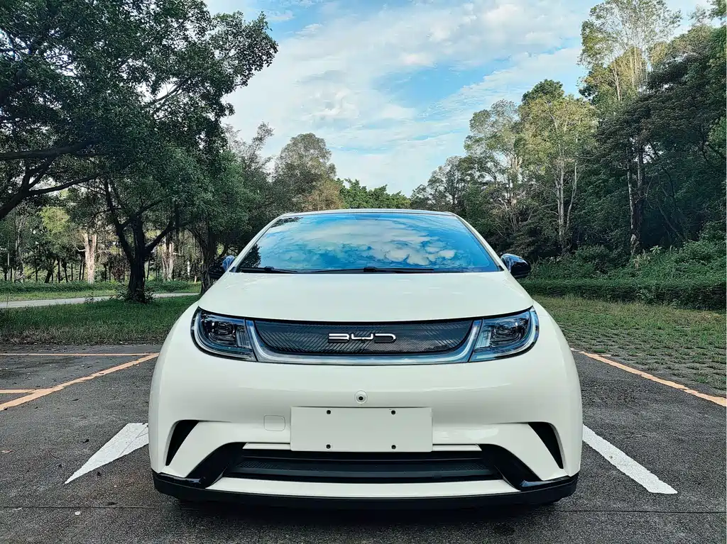 BYD Dolphin — миниатюра 2