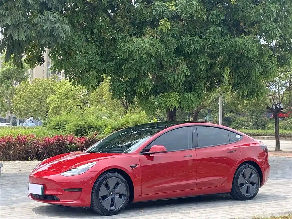 Tesla Model 3 2021