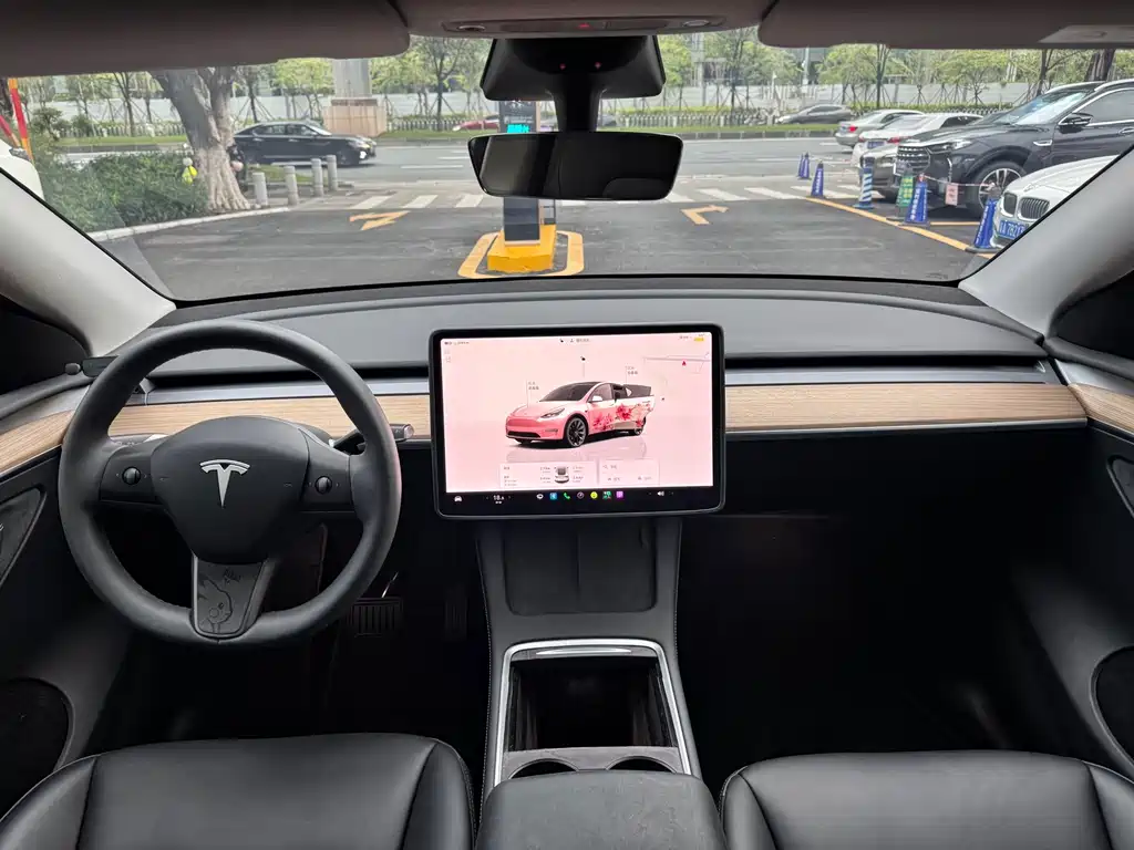 Tesla Model Y — миниатюра 12