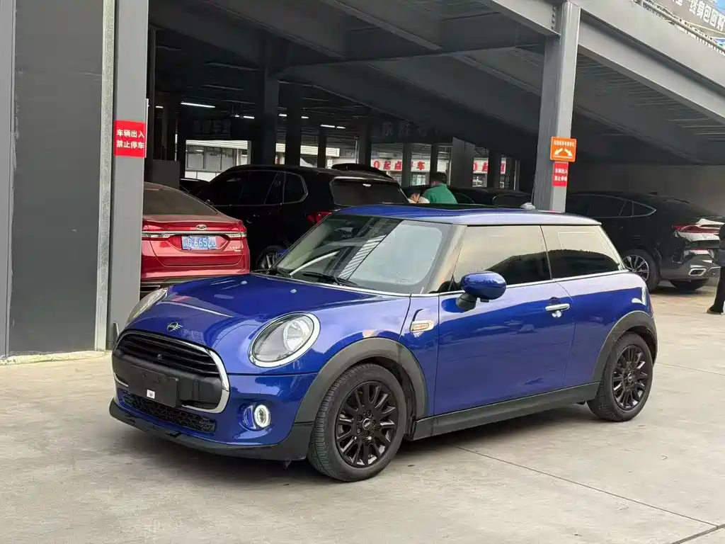 Mini Mini 2020