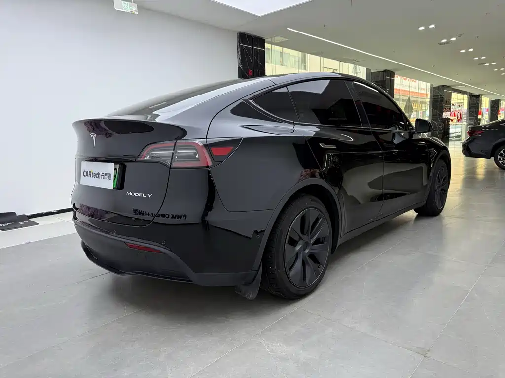 Tesla Model Y — миниатюра 3