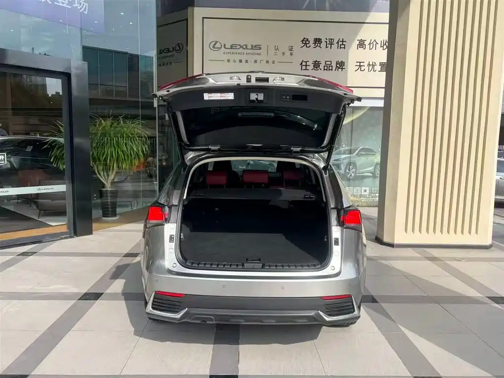 Lexus NX — миниатюра 7