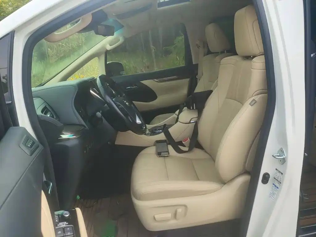 Toyota Alphard — миниатюра 15