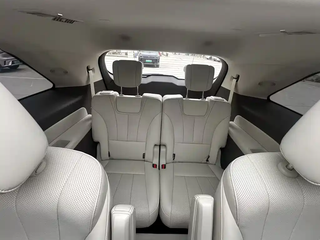 WEI PAI WEI BRAND BLUE MOUNTAIN