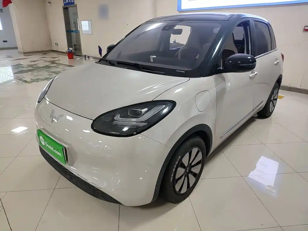 Wuling Binguo