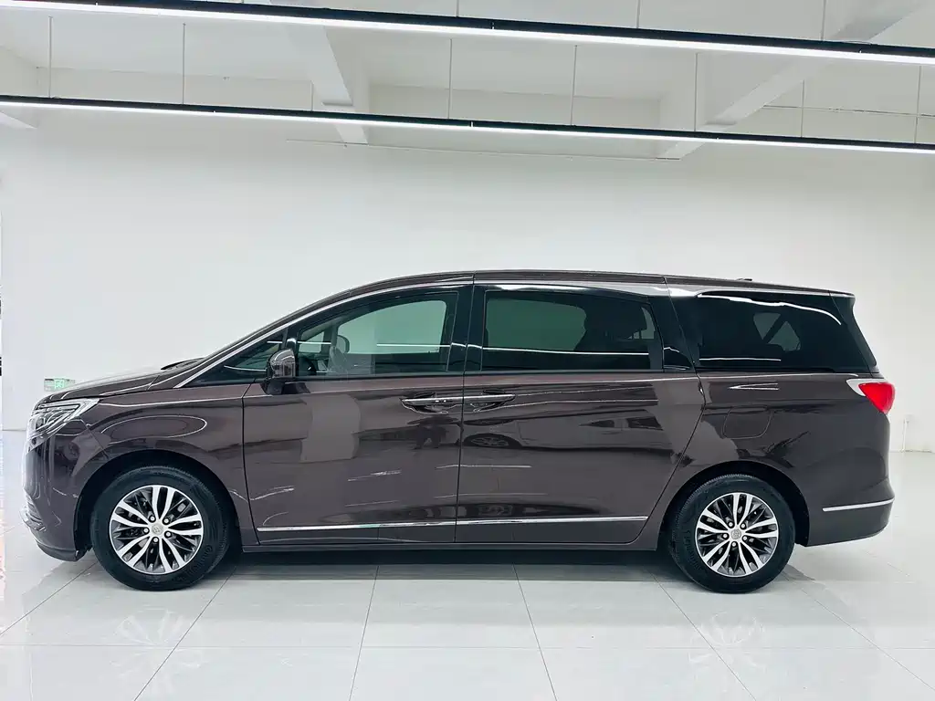 Buick GL8 — миниатюра 4