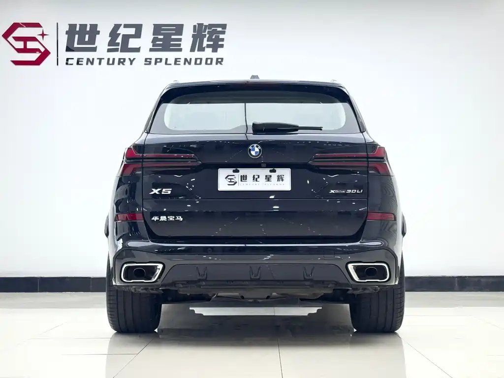 BMW X5 — миниатюра 10