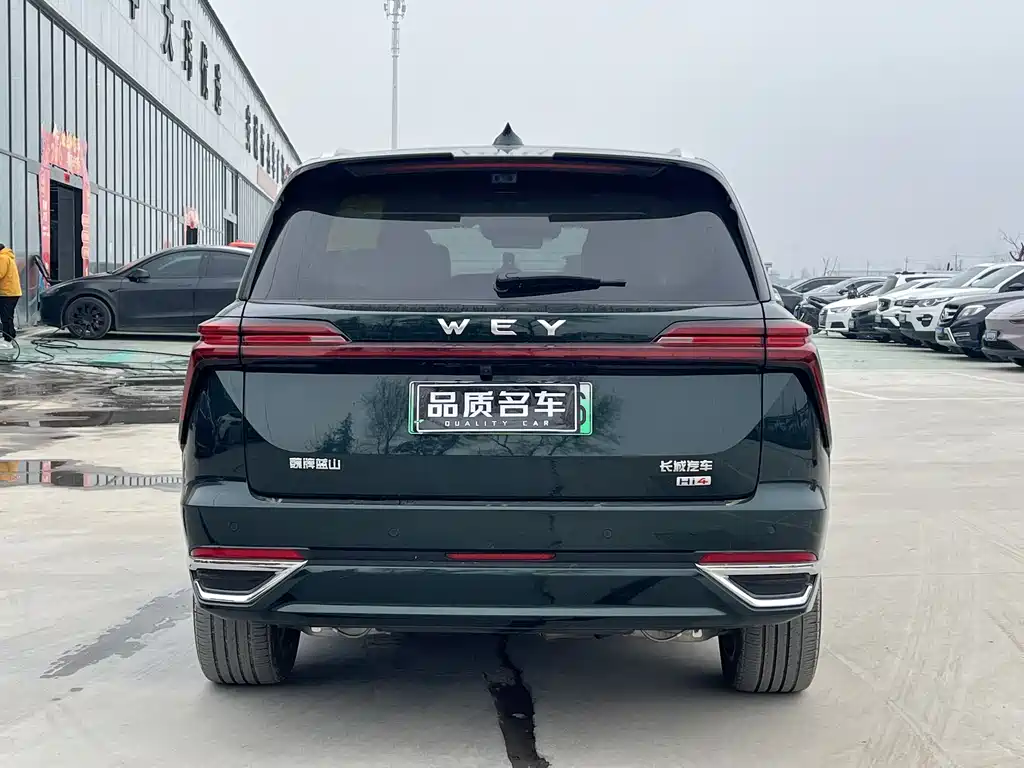 WEI PAI WEI BRAND BLUE MOUNTAIN