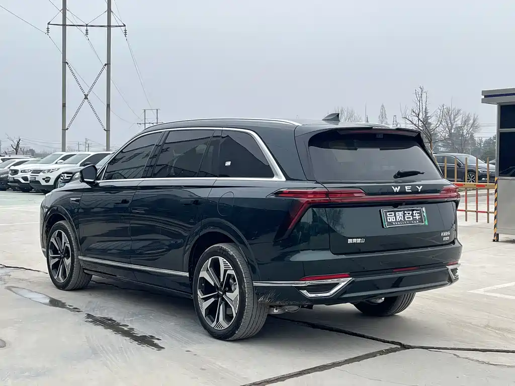 WEI PAI WEI BRAND BLUE MOUNTAIN