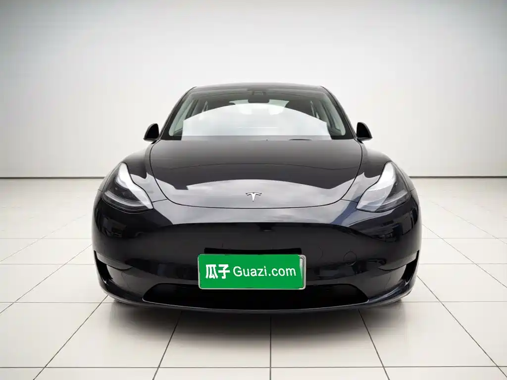 Tesla Model Y — миниатюра 2