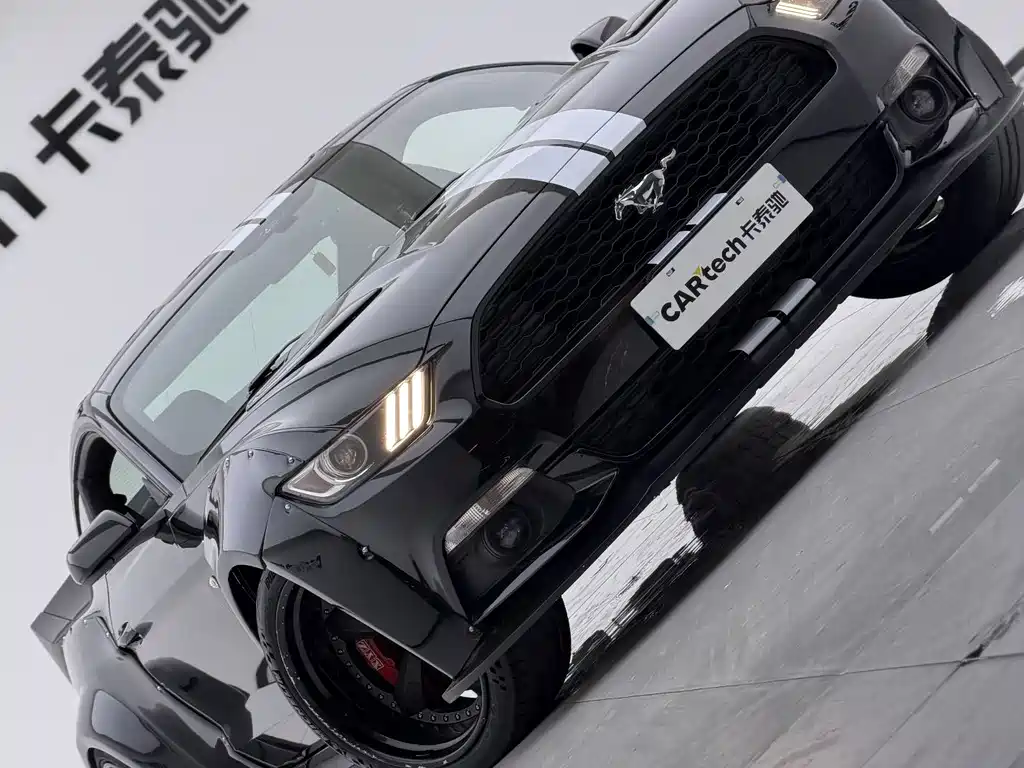 Ford Mustang — миниатюра 12