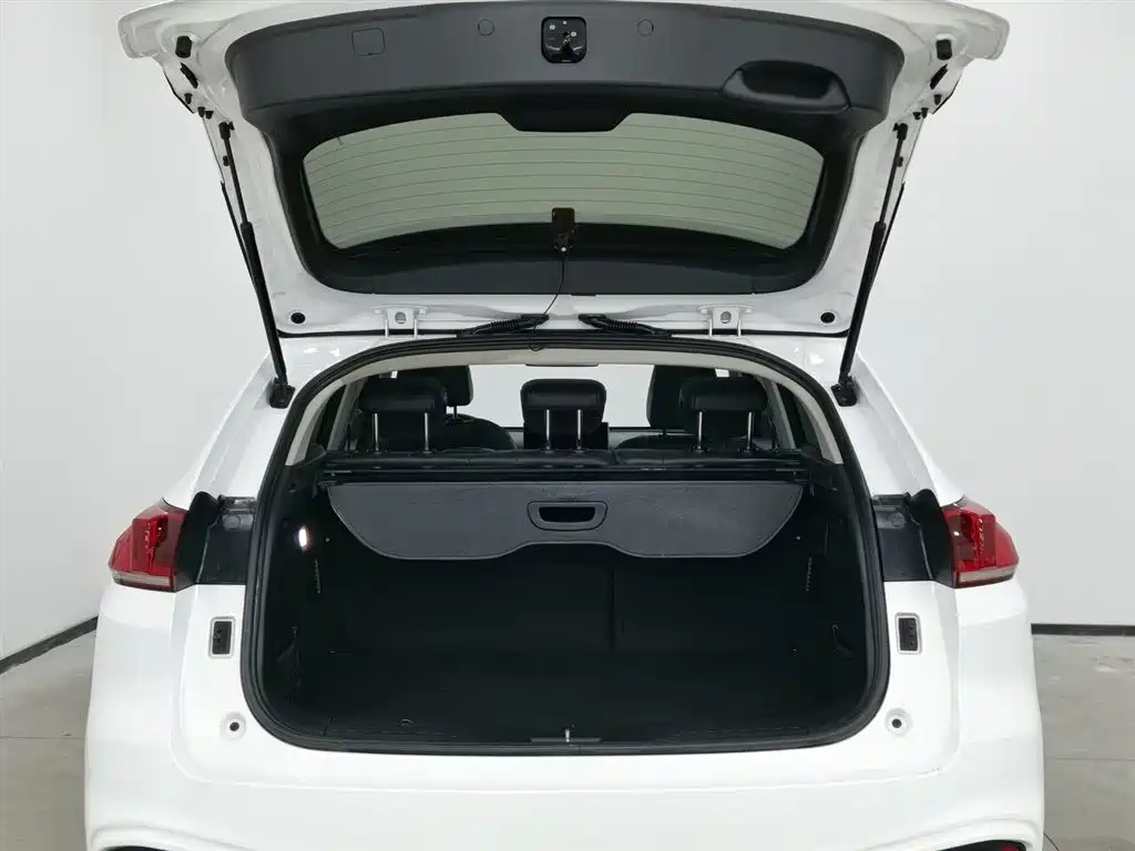 WEI PAI WEI BRAND VV5