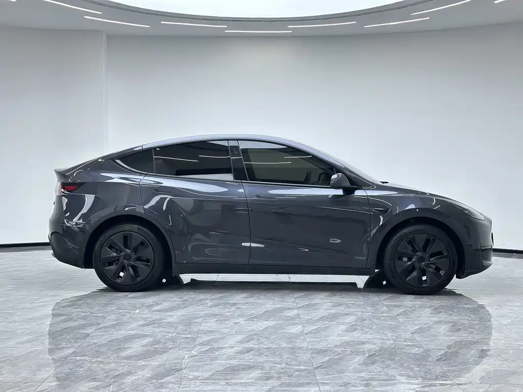 Tesla Model Y — миниатюра 19
