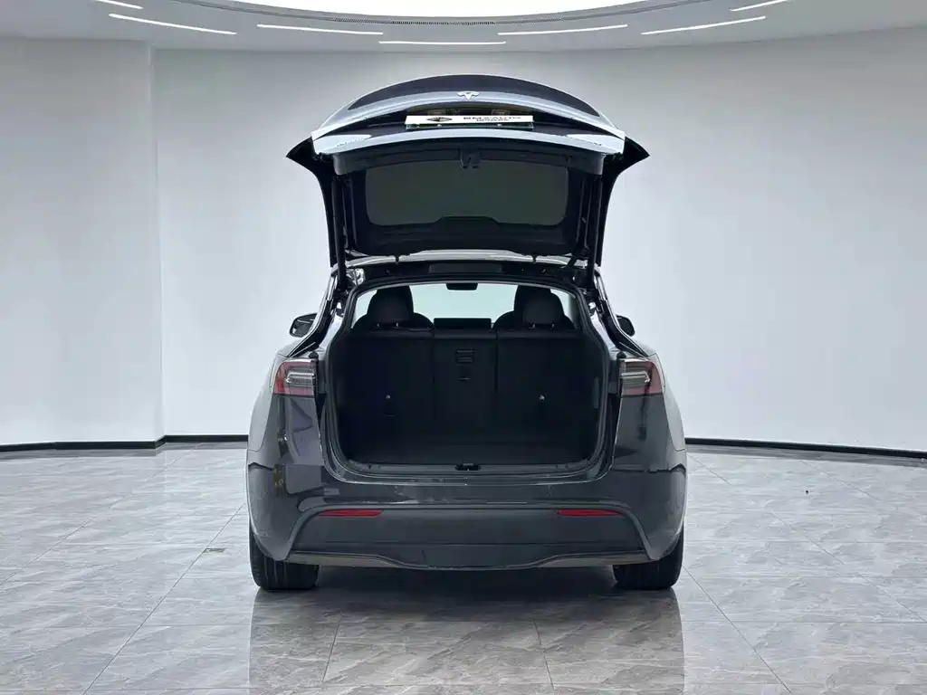 Tesla Model Y — миниатюра 8