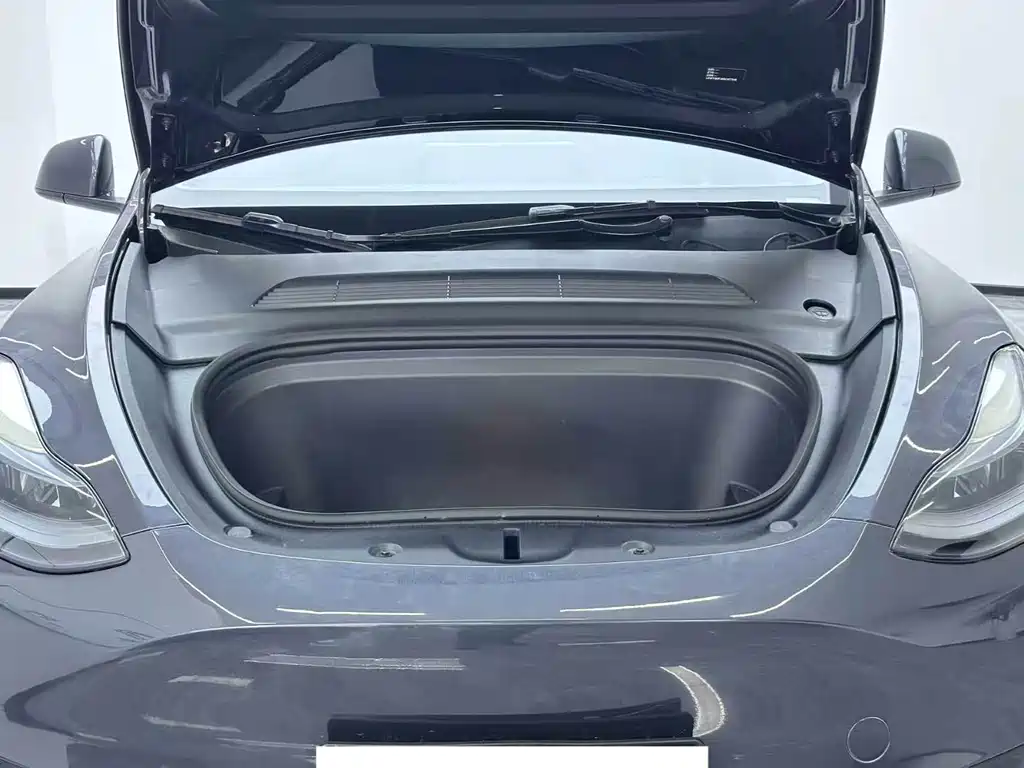 Tesla Model Y — миниатюра 5