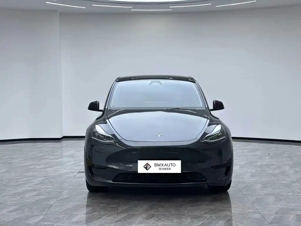 Tesla Model Y — миниатюра 4