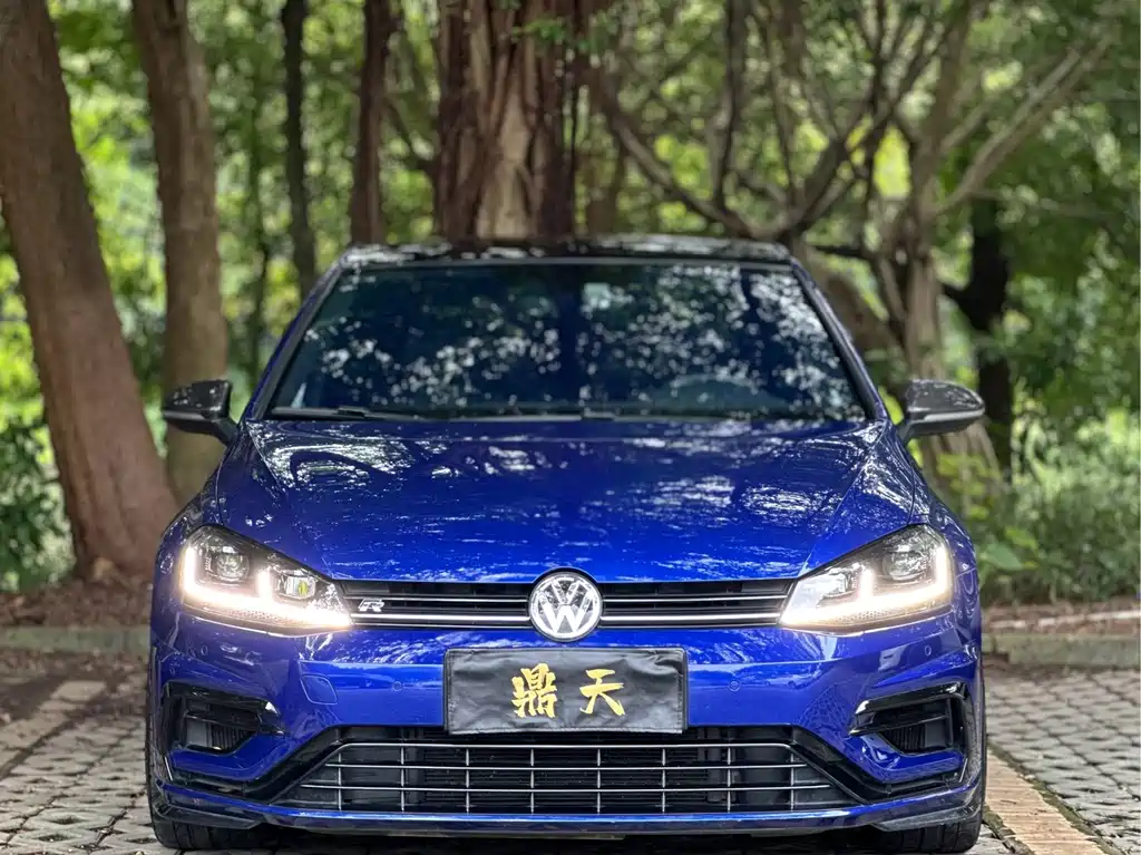 Volkswagen Golf (Import) — миниатюра 30